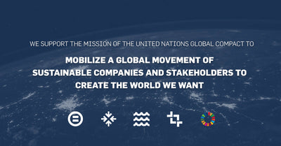 Infinitev Joins the United Nations Global Compact: A Commitment to Responsible Business Practices